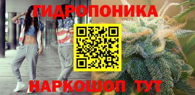 дмт Шелехов