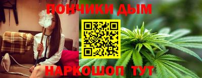 дмт Шелехов