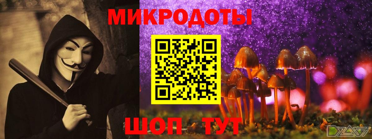 Братск  Псилоцибиновые грибы мицелий  Вход с VPN 
